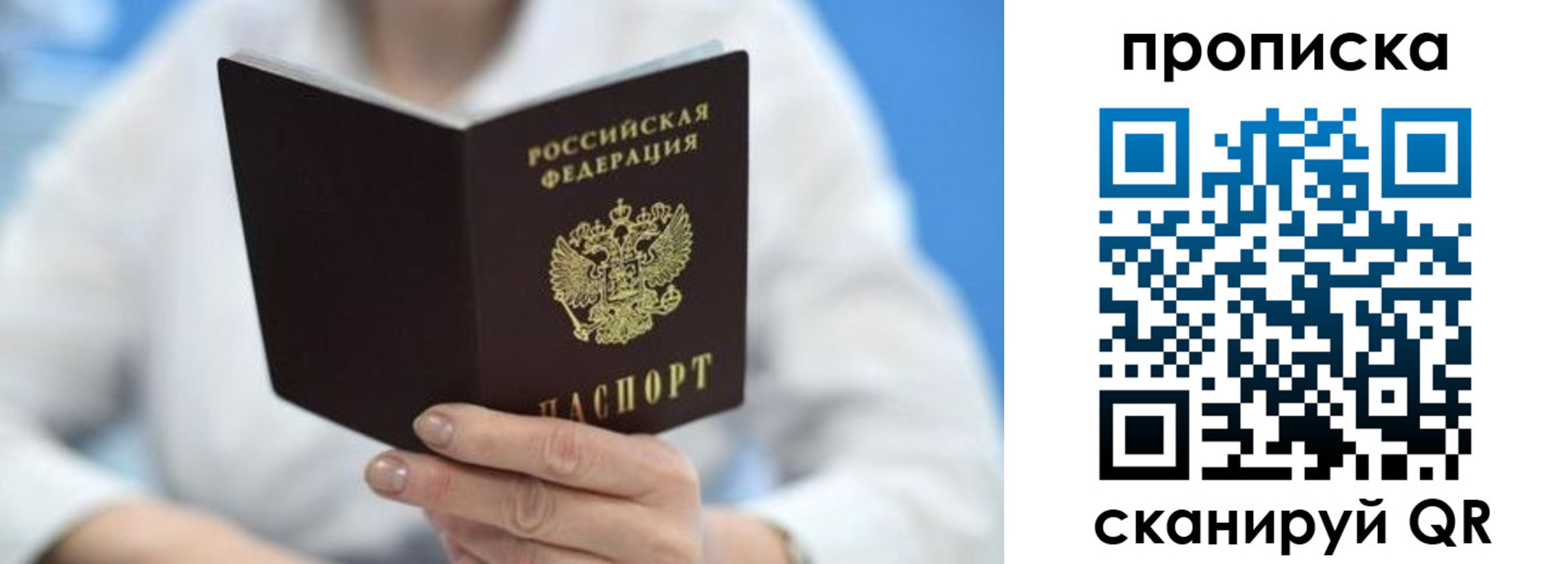 прописка 2025 в Ельне